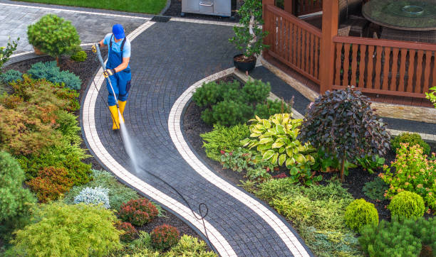 Best Commercial Building Pressure Washing  in Bloomgton, IN